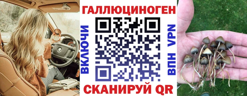 Псилоцибиновые грибы Magic Shrooms Вельск